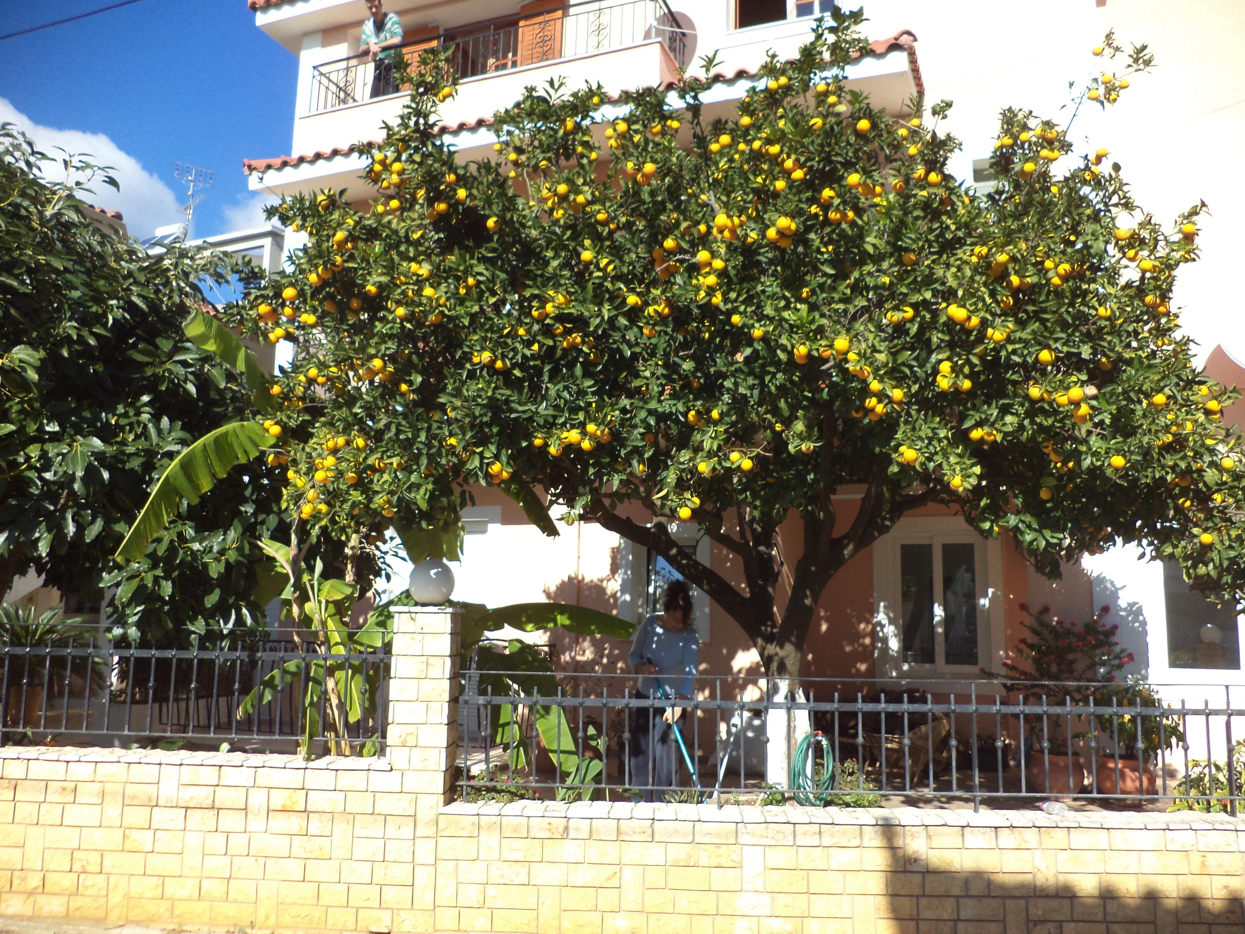 Dionysios Studios Skala  Buitenkant foto